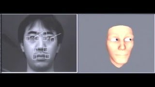 Face tracking and gaze measurement with single camera (2005)