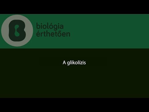 Videó: Különbség Az Asszimilációs és A Disszimilációs Szulfát Redukció Között