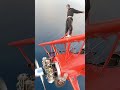 The Art of Flight