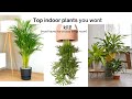 TOP INTERIOR  INDOOR PLANTS FOR A COZY /EXPENSIVE LIVING ROOM I#indoorplants #beginnerplants