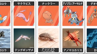 ポケモンとそのモデル 比較 ホウエン 第三世代 Pokemon Comparison Youtube ポケモンとそのモデル 比較 ホウエン 第三世代 Pokemon Comparison Youtube