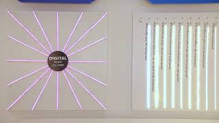 Flexible Led Neon Strip