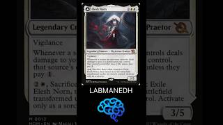 Mono White Burn EDH Deck Tech #mtg #commander #edh #deckbuilding #phyrexia #magicthegathering