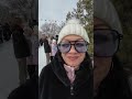 Масленица в DogWinter