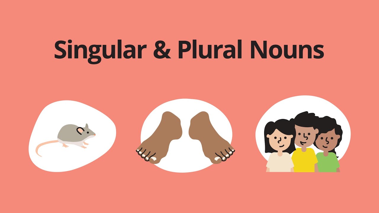 Singular \u0026  Plural Nouns | Singular VS Plural Words | Singular \u0026  Plural