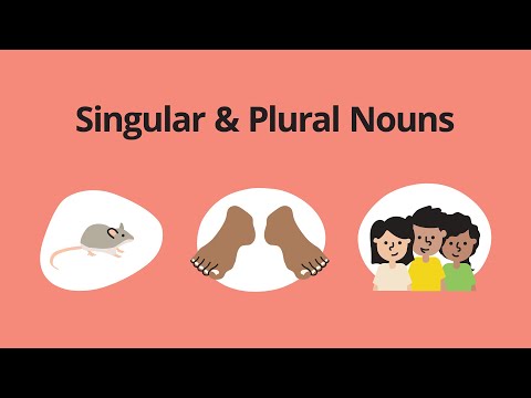 Singular & Plural Nouns