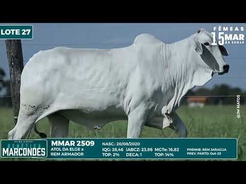 LOTE 27   MMAR 2509