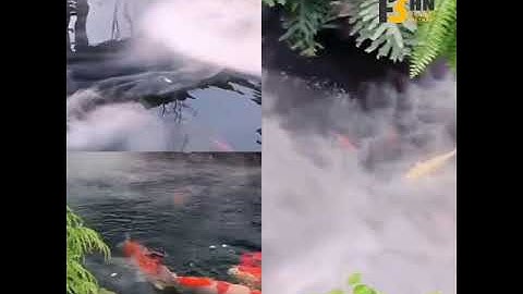 Tạo sương khói cảnh quan, tiểu cảnh, sân vườn, thác nước, hồ cá VELOCI VIỆT NAM