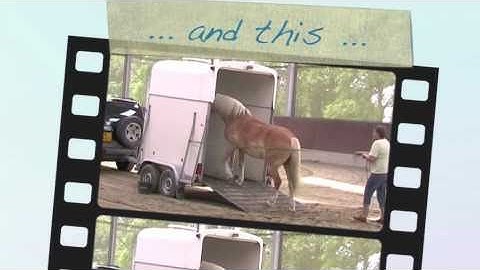 Online Video Course *Horse Trailer Loading* with Eddy Modde