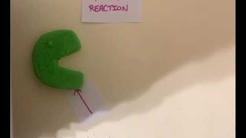 AP Bio Enzyme-Substrate Stop-Motion Video