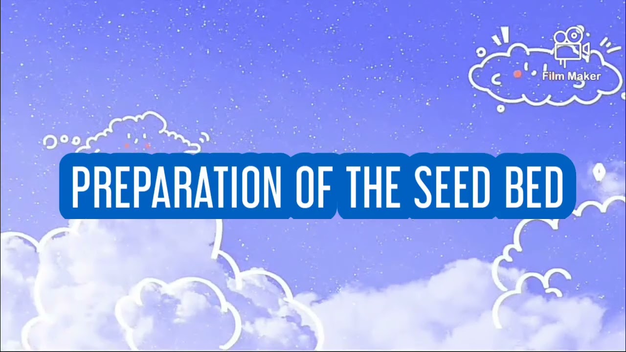 DPTE YEAR 1 AGRICULTURE PROJECT