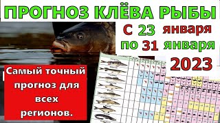 Прогноз клева рыбы на Эту неделю с 23 по 31 января. Лунный Календарь рыбака Лунный прогноз клёва рыб