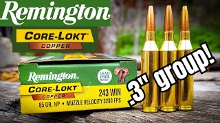 These Copper Bullets REALLY Impressed Me....[.243 Remington Core-Lokt Copper]