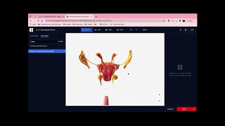 3 2 2 Digestive System Biodigital screenshot 3