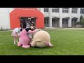 着ぐるみでのMV撮影の裏側が過酷すぎた…