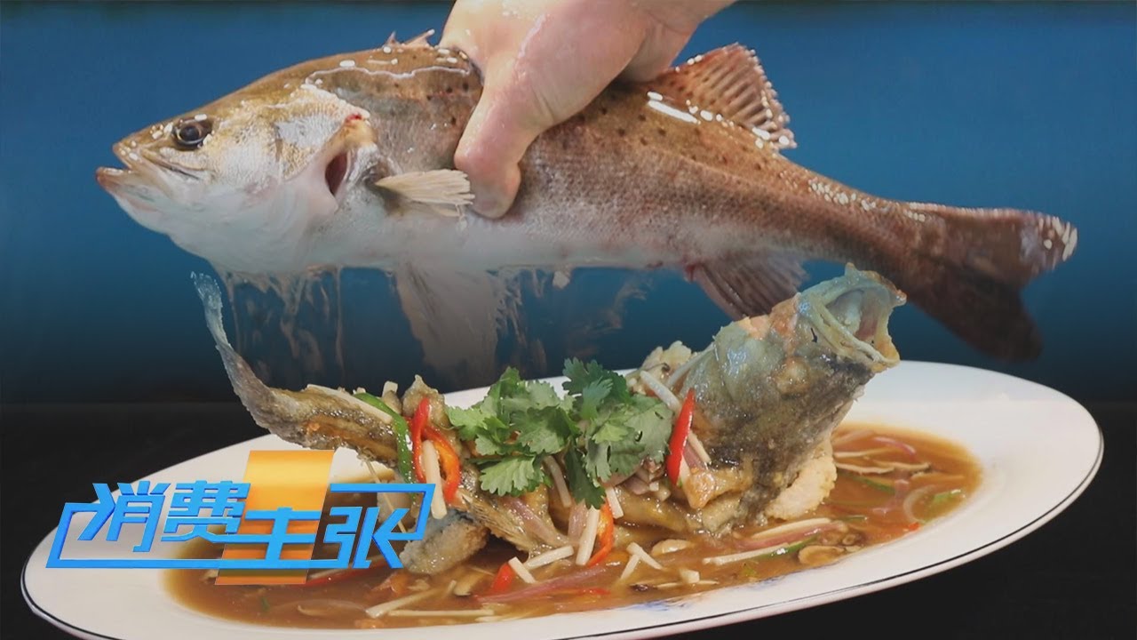 休渔期如何不休鲜？海洋牧场带来鲜美海鲜盛宴 「消费主张」 20240524 | 财经风云