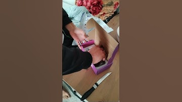 Revibe UAE unboxing 13 Pro