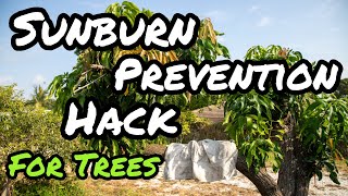 Sunburn Prevention Hack for Trees!