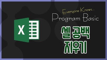 [남들다아는 엑셀] 셀(문자) 공백 지우기, 원하는 영역 선택해서 함수 적용하기(VBA)