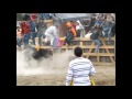 Toros Populares Lasso 2013-2014