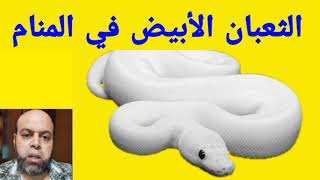 تفسير حلم الثعبان الأبيض في المنام لابن سيرين | @qanaat_tafsir_alahlam_Mahmoud