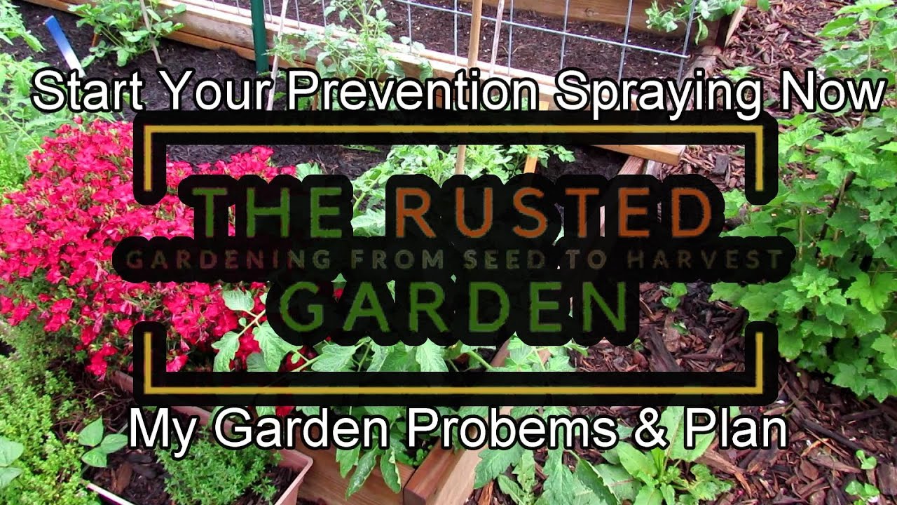 Trg Homestead Vlog E 19 Start Your Prevention Plan Now Problems In My Garden My Plan Tour Tips Youtube