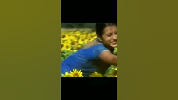 Thumbnail of NUVVOSTHANANTE..Film..VARSHAM/TRISHA/PRABHAS/DEVI SRI PRASAD/KS CHITRA/RAQUEEB ALAM avargal/