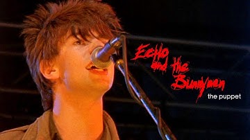 Echo & the Bunnymen | The Puppet | Promo | 1980