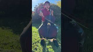 Aiden’s cello show - Lollipop man