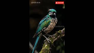 Beautiful Emerald green bird 💚 #birds #nest #birdhome #wildlife #vibrantbirds #birdnest #viral