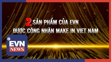 2 SẢN PHẨM CỦA EVN ĐƯỢC CÔNG NHẬN MAKE IN VIET NAM