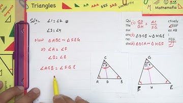 Question 10 - Exercise 6.3 | Class 10 | Chapter 6 |  Triangles | NCERT Maths | CBSE