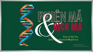 PHIÊN MÃ VÀ DỊCH MÃ | ADN TO PROTEIN | BIOLOGY