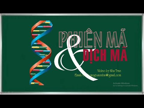 Video PHIÊN MÃ VÀ DỊCH MÃ | ADN TO PROTEIN | BIOLOGY - youtube