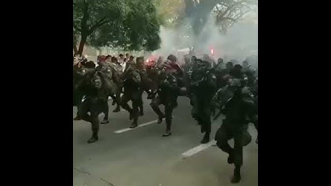 Desfile 7 de setembro - exército Brasileiro