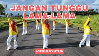 Senam Jangan Tunggu Lamalama  Aster Elfourteen  Choreo By Ery Lukman