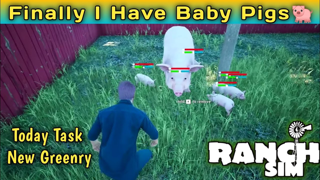 FINALLY MY PIG's born a baby's | RANCH simulator -ep 7 | Bilal Playz ...