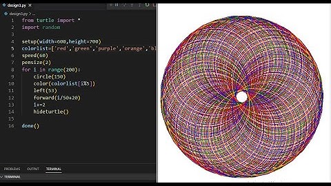 How to draw a  torus circle design using python code?