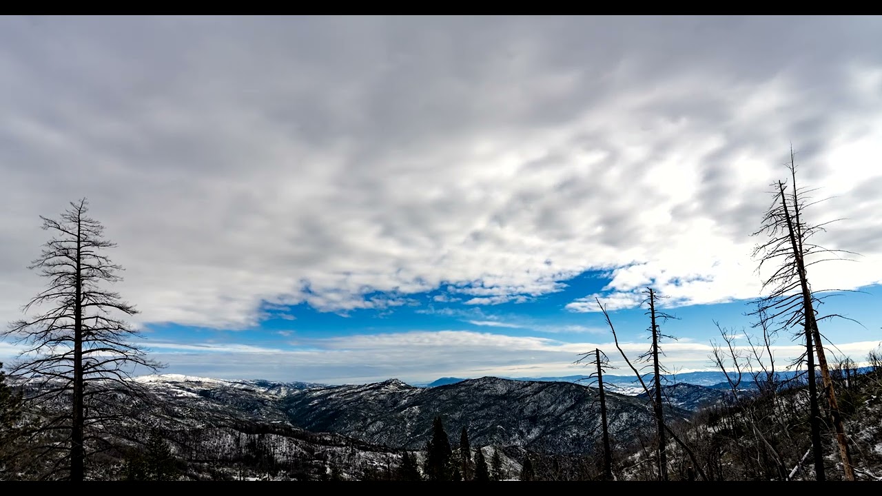 Mendocino Forest - Clouds Timelapse - 2023/02