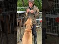 この犬トイプードルにならんか？