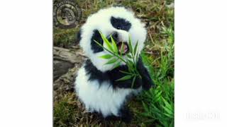 Cute panda pic for your DP and wallpaper screenshot 5