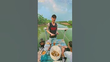 Trải nghiệm của cá tại Cồn Sơn