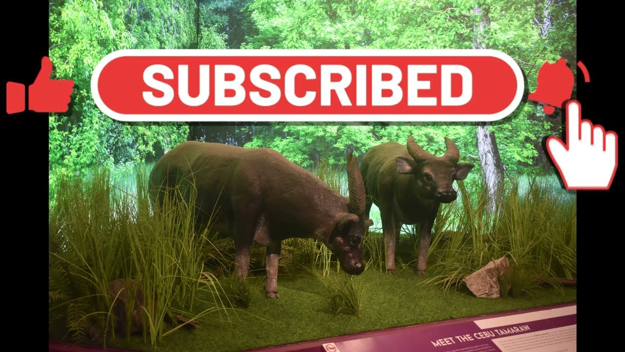 Our last day in Cebu, We visit the National Museum of the Philippines Cebu.  6 29 25