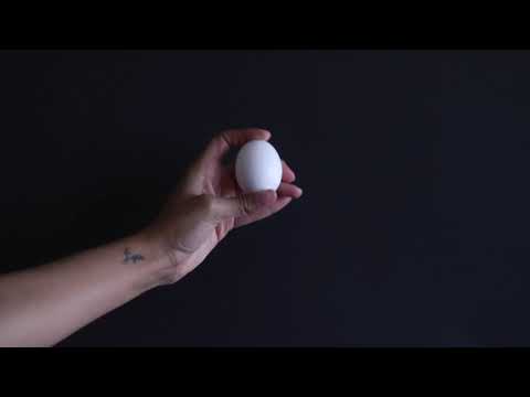 The Eclipse of an Egg