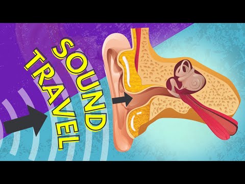 037 How Sound is Transferred to the Inner Ear