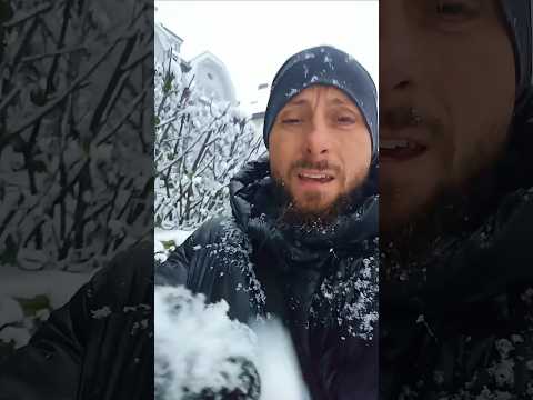 Ein ganz normaler Morgen in Haramburg im SchneeChaos #hamburg #schneechaos