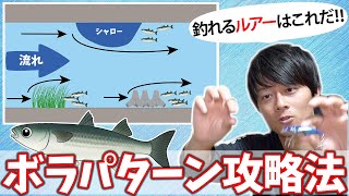 ボラパターンを完全解説 釣れる条件と釣れるルアーをご紹介します 超シーバス攻略講座vol 1 Youtube
