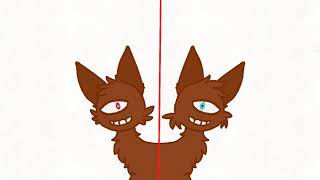 Symmetry practice