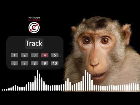 Monkey sound effects with no copyright, animals sounds