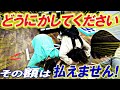 最後の親子デートを秋葉原で楽しみたい‼︎リオトの大好きなPC買いに行ったら高すぎて思わず親子で土下座